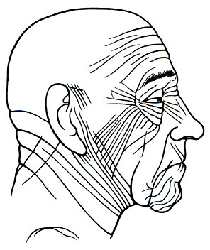 541.        