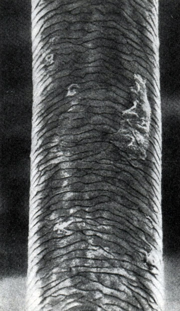 541.   