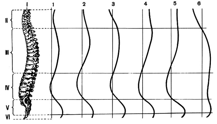 . 18.  (),      ( ): I - ; II - ; III -   IV -  ; V - ; VI - ; 1 - ; 2 -   ; 3 -   ; 4 -    ; 5 -   ''   ; 6 -  