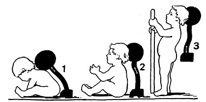 . 19.     : 1 -     ; 2 -  ; 3 -  