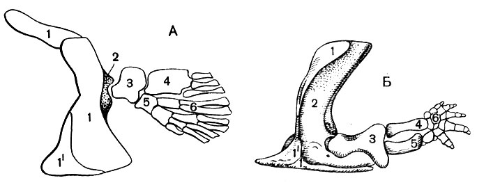 . 22.   :  -   ;  -  ; 1 -    ,        (1'); 2 ; 3 -  ; 4 -  ; 5 -  ; 6 -  