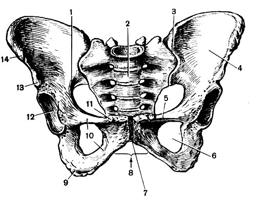 . 32.   : 1 -    ; 2 - ; 3 - - ; 4 -   ; 5 -  ; 6 -  ; 7 -  ; 8 -  ; 9 -  ; 10 -   ; 11 -  ; 12 -  ; 13 -   14 -    