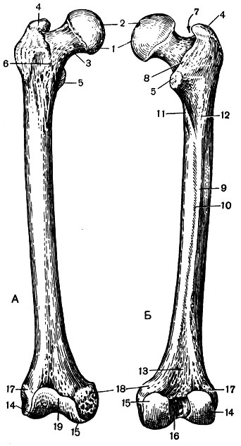 . 34.   :  - ;  - ; 1 - ; 2 -  ; 3 ; 4 -  ; 5 -  ; 6 -  ; 7 -  ; 8 -  ; 9 -   10 -    ; 11 -  ; 12 -  ; 13 -  ; 14 -  ; 15 -  ; 16 -  ; 17   ; 18 -  ; 19 -   