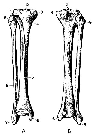 . 35.   :  - ;  - ; 1 -  ; 2 -  ; 3 -  ; 4 -  ; 5 -  ; 6 -  ; 7 -  ; 8 -  ; 9 -  