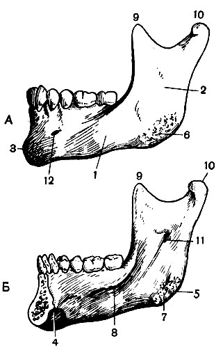 . 44.  :  - ;  - ; 1 - ; 2 - ; 3 -  ; 4 -  ; 5 - ; 6 -  : 7 -  ; 8 - - : 9 -  ; 10 -   11 -   : 12 -  