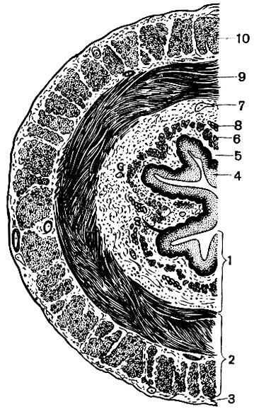 . 72.    ( ): 1 - , 2 -   3 -  ; 4 -   ; 5 -   6 -    ; 7 -  ; 8 -  ; 9 -    10 -   