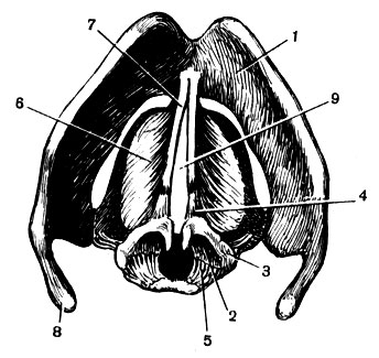 . 85.       (    ): 1 -  ; 2 -  ; 3 -    4 -  ; 5 - - ; 6 -  ; 7 -  ; 8 -    ; 9 -  