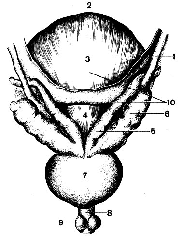 . 89.       (): 1 -  ; 2 - ; 3 -   4 -   ; 5 -   ; 6 -  ; 7 -  ; 8 -    ; 9 -  ; 10 - 
