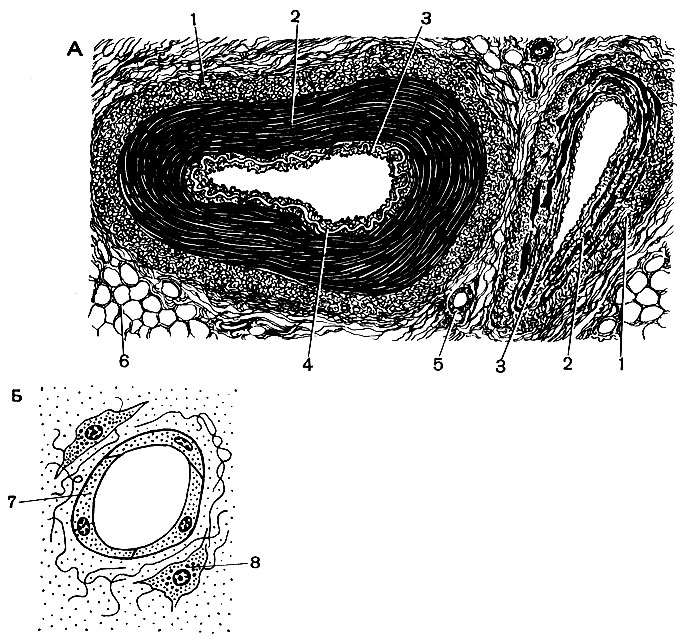 . 91.     ( ):  -    (  );  -    ; 1 - , 2 -   3 -  ; 4 -   ; 5 - ; 6 -  ; 7 - ; 8 -  