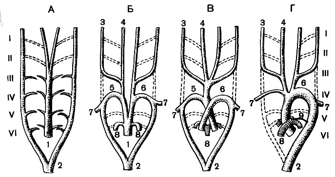 . 92.       (),  (),  ()   (): I-VI -   ; 1 -   2 -  ; 3 -   4 -   ; 5 -   6 -   ; 7 -  ; 8 -  ; 9 -  