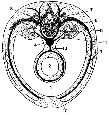 . 93.   (): 1 - ; 2 -  ; 3 - ; 4 - ; 5 -      (6)   (7) ,     (8),  (9)   (10)  ; 11 -      12 -    