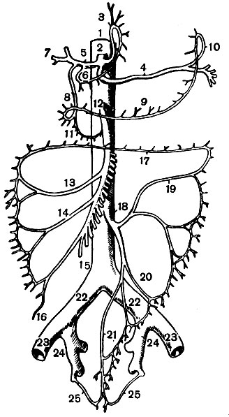 . 101.      (): 1 -  ; 2 -  ; 3 -  ; 4 - ; 5 -  ; 6 -       ; 7 -  ; 8, 9, 10 -          ; 11 -        . 12 -     13, 14, 15 -        ,    ; 16 -   ; 17 -       ; 18 -     19, 20, 21 -        ,    ; 22 -  ; 23 -  ; 24 -     25 -     
