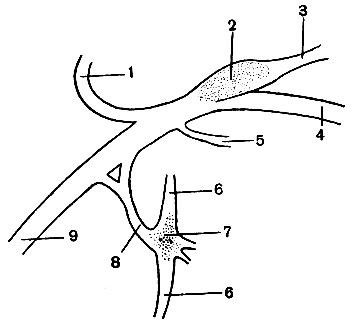 . 116.   (): 1 -  ; 2 -  ; 3 -   4 -  ; 5 -  ; 6 -  ; 7 -   ; 8 -  ; 9 -  