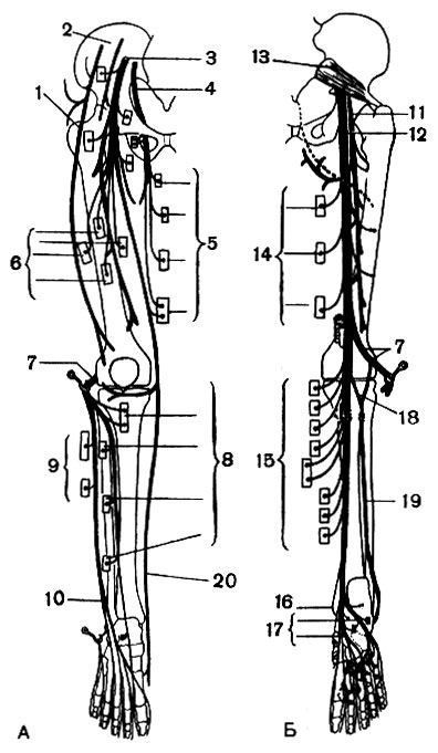 . 121.       ():  - ;  - ; 1 -    ; 2 -  ; 3 -  ; 4 -    5 -       ; 6 -      ; 7 -   ; 8 -     ; 9 -     ; 10 -    ; 11 -    ; 12 -  ; 13 -  ; 14 -      ; 15 -        ; 16 -  ; 17 -    ; 18 -    ; 19 -  ; 20 -  