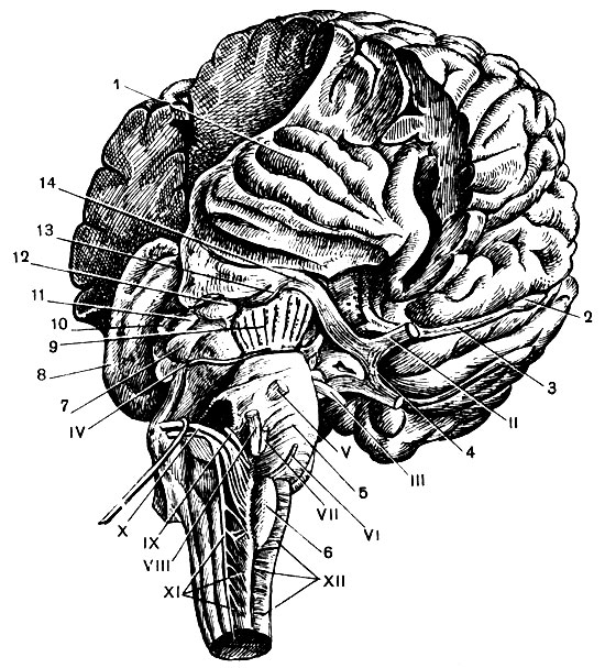 . 123.         : 1 - ; 2 -    3 - ; 4 - ; 5 - ; 6 - ; 7 -   11 -  ; 8 -  ; 9 -  ; 10 - ; 12 -   13 -   ; 14 -  .     
