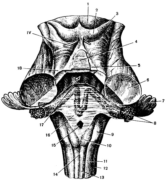 . 124.   ( ) : 1 -   2 -  ; 3 -   ; 4 -   ; 5 -   ; 6 - , 12 -   18 -    (); 7 -  ; 8 -  ; 9 -  ; 10 -  ; 11 -  ; 13 -  ; 14 -   ; 15 -      (16); 17 -  
