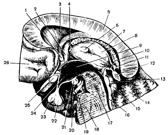 . 127.       : 1 -  ; 2 -  ; 3 -  ; 4 -  ; 5 -  ; 6 -  ; 7 -    ; 8 -    ; 9 -  ; 10 -  ; 11 -  ; 12 - ; 13 -   15 -  ; 14 - ; 16 - ; 17 -  ; 18 - : 19 -  ; 20 -    ; 21 -  ; 22 -   23 -   ; 24 - ; 25 -   ; 26 -    