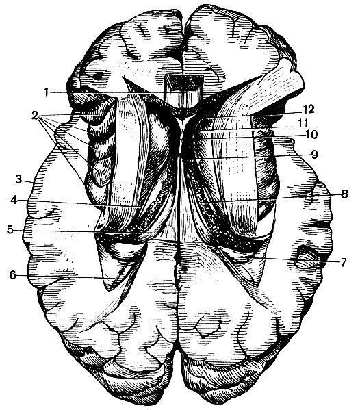 . 130.   (   ): 1 -  ; 2 - ; 3 - ; 4 -   ; 5 - ; 6 -    ; 7 - ; 8 -  ; 9 -  ; 10 -  ; 11 -   ; 12 -    
