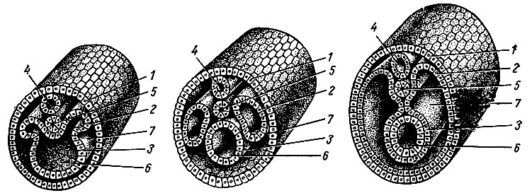 . 2.    . 1 - ; 2 - ; 3 - ; 4 -  ; 5 - ; 6 -  ; 7 - 