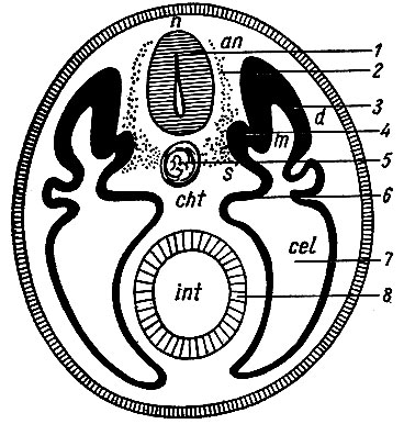 . 3.    . 1 -  ; 2 -     ; 3 - ; 4 - ; 5. - ; 6 - ; 7 - ;  -  