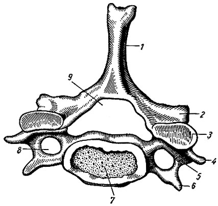 . 15. VII.  :  . 1 -  ; 2 -   ; 3 -   ; 4 -  ; 5 -  ;  -  ; 7 -  ; 8 -   ; 9 -  