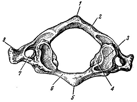 . 16. ,  . 1 -  ; 2 -  ; 3 -   ; 4 -  ; 5 -  ; 6 -  ; 7 -   ; 8 -  
