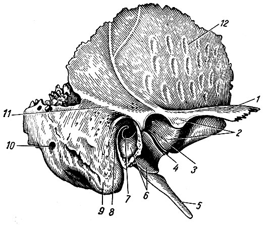 . 23.  , ,  . 1 -  ; 2	-  ; 3	-  ; 4 - - ; 5 -  ; 6 -  ; 7 -   ; 8 -   ; 9 -  ; 10 -  ; 11 -  ; 12 -  