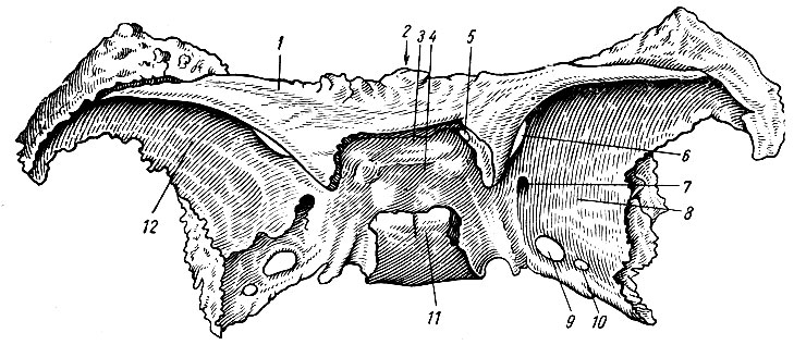. 26.  ,  . 1 -  ; 2 -   ; 3 -    ; 4 -   ; 5 -  ; 6 -   ; 7 -  ; 8 -    ; .9 -  ; 10 -  ; 11 -   ; 12 -  