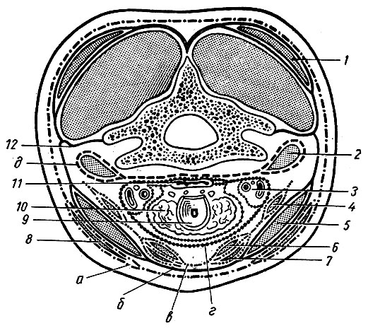. 69.      ( . . ). 1 -  ; 2 -   ; 3 - -  ; 4 - - ; 5 - - -  ; 6 - - ; 7 - - ; 8 -    ; 9 - ; 10	-  ; 11	- ; 12 -  ,      ;  - 1  ;  - II ;  - III ;  - IV ;  - V 