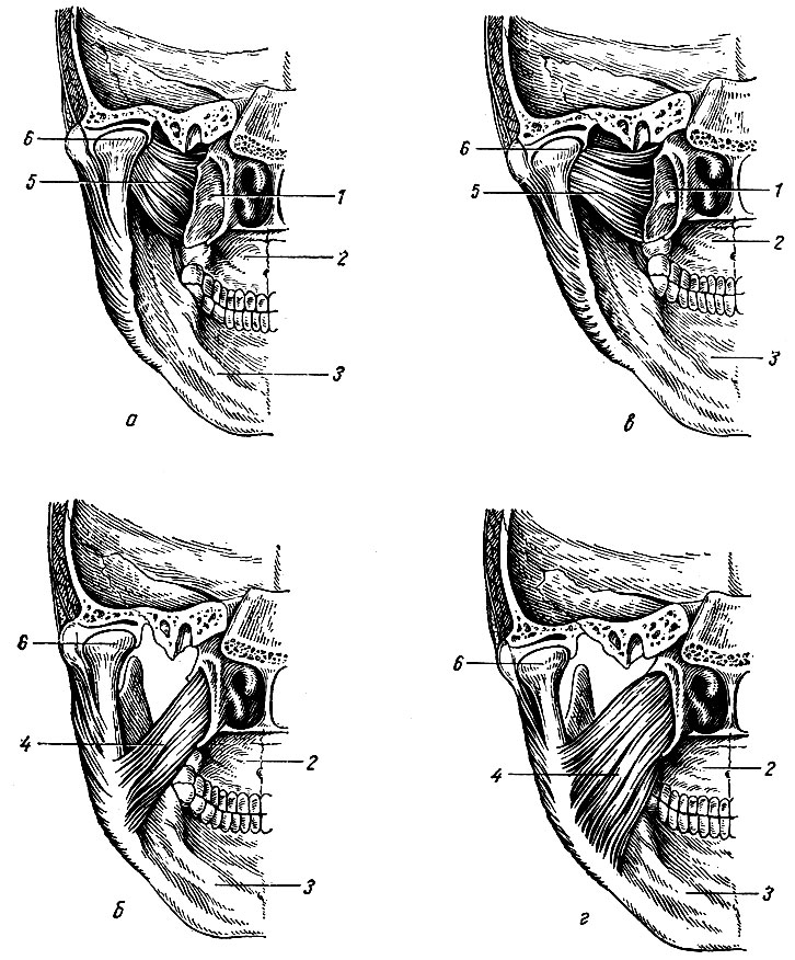 . 72.      (, )   (, )  , ,  -  ; ,  -  ), ( . . ) . 1 -    ; 2 -  ; 3 -  ; 4 -   ; 5 -   ; 6 -  