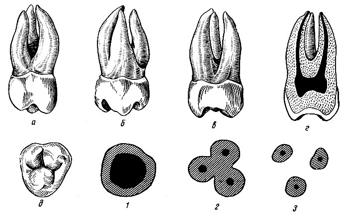 . 103.    .  -  ;  -  ;  -  ;  - - ;  -  ; 1, 2, 3 -   