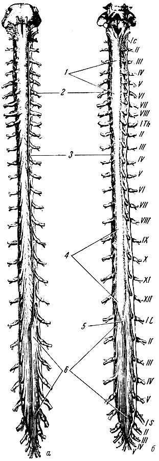  191.  .     .   .      , ,     .  -   ( );  -    ); 1 -  ; 2 -  ; 3 -    ; 4 -  ; 5 -  ; 6 -  