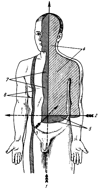 . 22.      . 1 -  ; 2 -  ; 3 -  ; 4 -  ; 5 -  ; 6 -  ; 7 -   