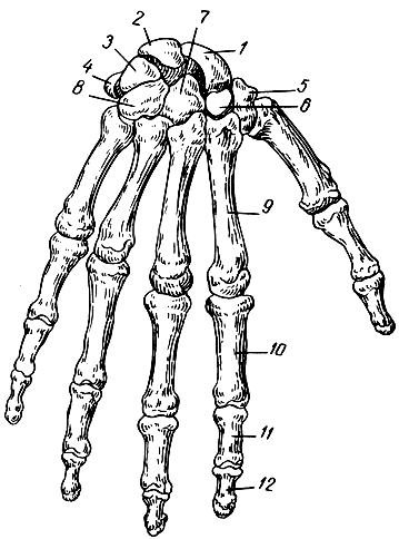 . 40.   (;  ). 1 -  ; 2 -  ; 3 -  ; 4 -  ; 5 - -;  -  ; 7 -  ; 8 -  ; 9 -   (II); 10 -  ; 11 -  ; 12 -   II 