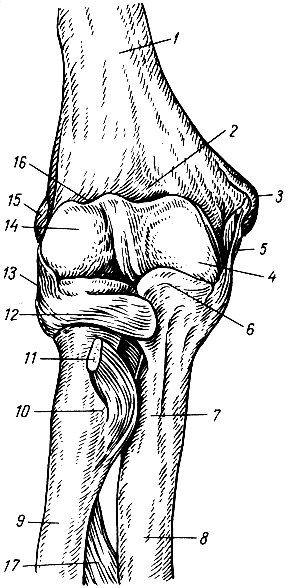 . 42.   (). 1 -  ; 2 -  ; 3 -  ; 4 -   ; 5 -   ; 6 -  ; 7 -   ; 8 -  ; 9 -  ; 10 -   ; 11 -    ; 12 -   ; 13 -    ; 14 -    ; 15 -  ; 16 -  ; 17 -   