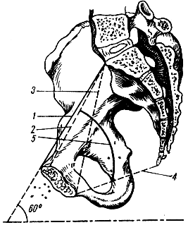 . 49.      ( ). 1 -  ; 2 -  ; 3 -  ; 4 -      (   ); 5 -  