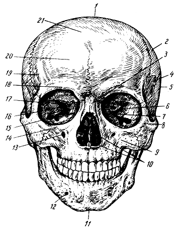 . 55.  ( ). 1 -  ; 2 -  ; 3 -  ; 4 -  ; 5 -  ; 6 - ; 7 -  ; 8 -  ; 9 -  ; 10 -  ; 11 -  ; 12 -  ; 13 -  ; 14 -  ; 15 -   ; 16 -  ; 17 -   ; 18 -  ; 19 -   ; 20 -  ; 21 -  