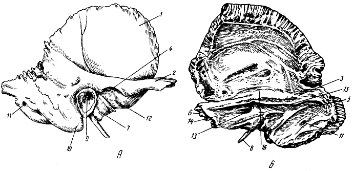 . 59.   ().  -  ;  -  ; 1 -  ; 2 -  ; 3 - ; 4 -  ; 5 -   ; 6 -  ; 7 -  ; 8 -  ; 9 -   ; 10 -  ; 11 -  ; 12 -  ; 13 -   ; 14 -   ; 15 -   ; 16 -  