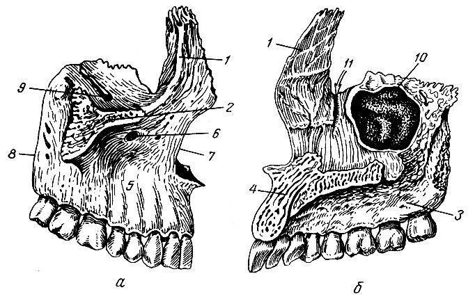 . 62.  .  -   ( );  -   ( ); 1 -  ; 2 -  ; 3 -  ; 4 -  ; 5 -  ; 6 -  ; 7 -  ; 8 -  ; 9 -  ; 10 -  () ; 11 -  