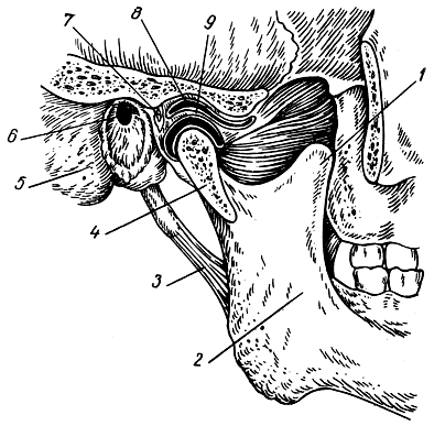 . 66. -   (). 1 -  ; 2 -   ; 3 -  ; 4 -  ; 5 -  ; 6 -   ; 7 -  ; 8 -  ; 9 -  