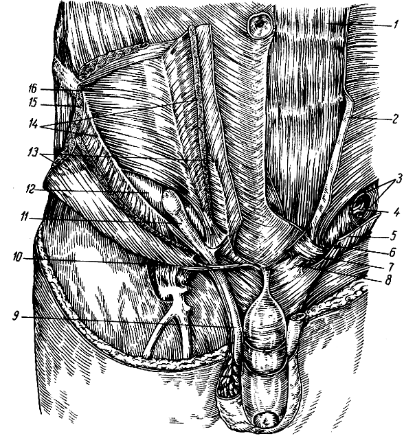 . 83.    . 1 -   ; 2 -       (); 3 -   ; 4 -   (); 5, 8, 10 -    ; 6 -  ; 7 -  ; 9, 11 -  ; 12 -  ; 13 -      (); 14 -     (); 15 -     (); 16 -   