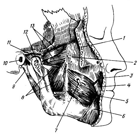 . 88.  . 1 -   (); 2 -  ; 3 - ,   ; 4 -   ; 5 -  ; 6 - ,   ; 7 -   ; 8 -   ; 9 -    ; 10 -   ; 11 -  ; 12 -      (); 13 -   