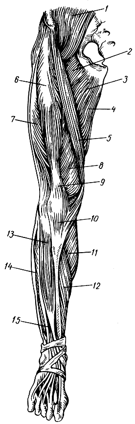 . 92.    ( ). 1 - - ; 2 -  ; 3 -   - 4 -  ; 5 -  ; 6 -   ; 7 -   ; 8 -   ; 9 -    ; 10 -  ; 11 -  ; 12 -  ; 13 -   ; 14 -   ; 15 -   