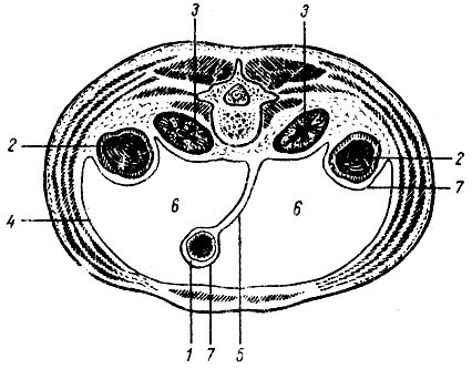 . 119.     (). 1 -  ; 2 -  ; 3 -  ; 4 -  ; 5 - ; 6 -  ; 7 -  