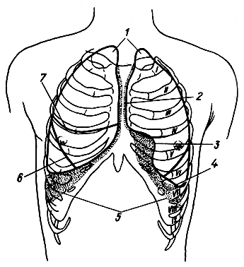 . 128.     ( ). 1 -  ; 2 -   ; 3 -  ; 4 -   ; 5 -   ; 6, 7 -       ;    