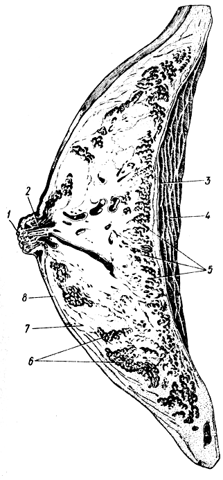 . 138.   (). 1 -   ; 2 -  ; 3 -  ; 4 -   ; 5 -   ; 6 -   ; 7 -  ; 8 - 