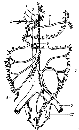 . 163.    (). 1 -  ; 2 -  ; 3 -   ; 4 -  ; 5 -   ; 6 -   ; 7 -   ; 8 -   ; 9 -   ; 10 -   