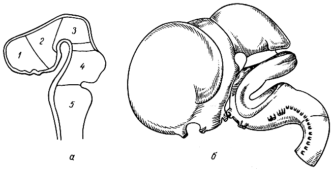 . 178.   .  -   ; 1 -  ; 2 -  ; 3 -  ; 4 -  ; 5 -  ;      - ; 6 -       