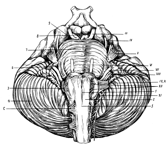 . 180.   ( ). 1 -   ; 2 -  ( ); 3 - ; 4 - ; 5 -  ; 6 -   ; 7 - ; 8 -   (   ); 9 -  ; III, IV ,V, VI, VII, VIII, IX, X, XI, XII -   ;  -   