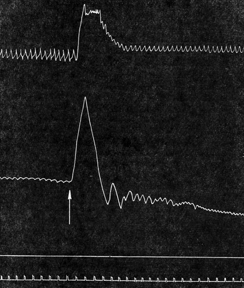 . 6.       (75 V).    * ( ),   ( )